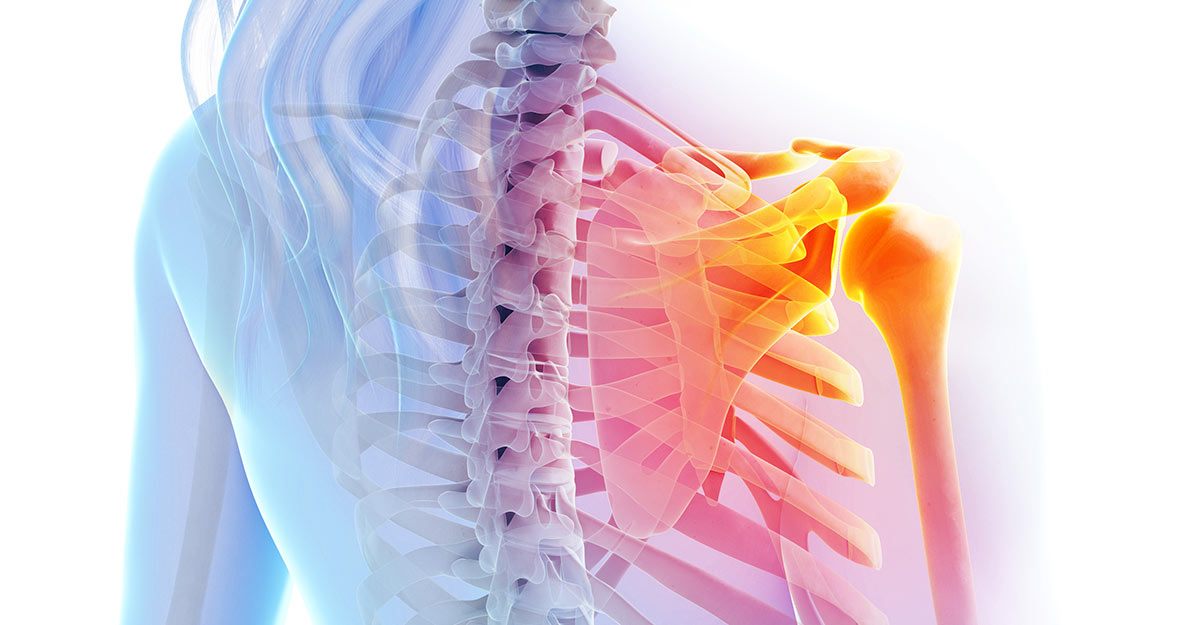 Featured image for Chiropractic Can Decrease Shoulder Pain
